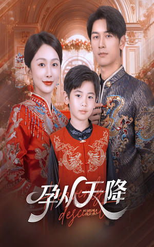 孕从天降（70集）免费看短剧全集