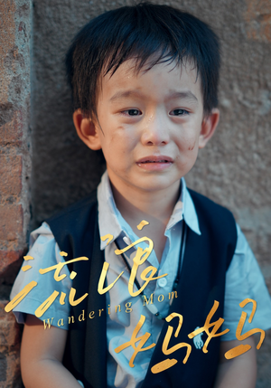 流浪妈妈(30集) 流浪妈妈(30集)好看短剧抢先看