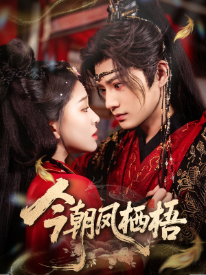 今朝凤栖梧(68集) 今朝凤栖梧(68集)女频短剧推荐