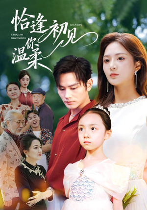 恰逢初见你温柔(86集) 恰逢初见你温柔(86集)免费全集短剧