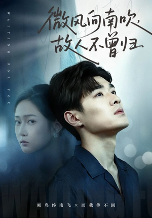 微风向南吹，故人不曾归（72集）免费观看完整版