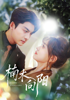 楠木向阳(70集) 楠木向阳(70集)怎么看全集