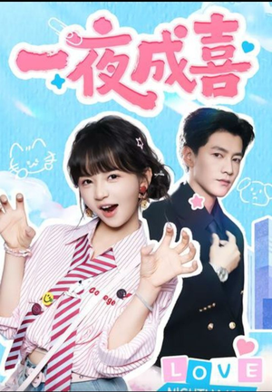 一夜成喜(60集)) 一夜成喜(60集))完整版