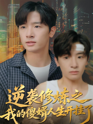 逆袭修炼之我的傻婿人生开挂了（65集）免费在线看