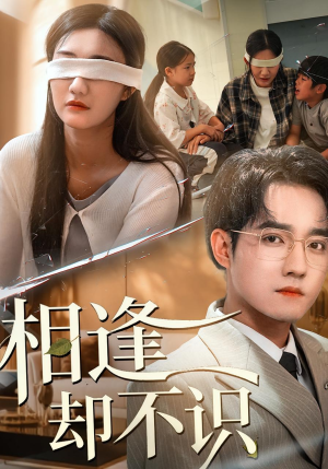 相逢却不识（77集）短剧完整版免费