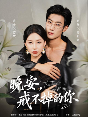 晚安,戒不掉的你(68集) 晚安,戒不掉的你(68集)甜宠短剧追到爽