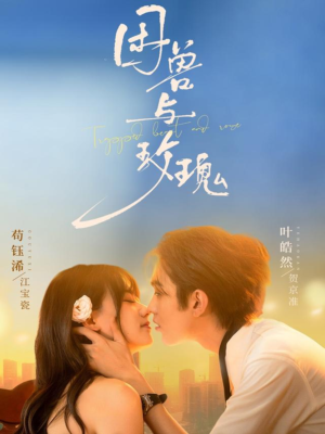 困兽与玫瑰（90集）短剧免费分享