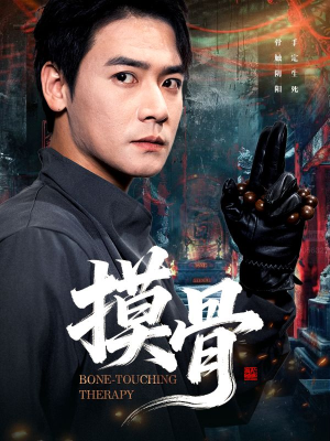 摸骨(74集) 摸骨(74集)在哪里可以全集