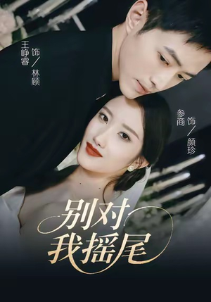 别对我摇尾(59集) 别对我摇尾(59集)全网独播免费看