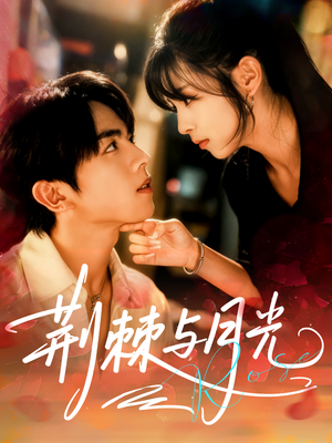 荆棘与月光(60集) 荆棘与月光(60集)评价怎么样