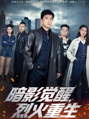 暗影觉醒,烈火重生(80集) 暗影觉醒,烈火重生(80集)第一季