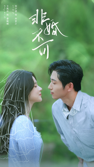 非婚不可(65集) 非婚不可(65集)爆火短剧抢先看