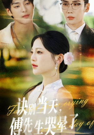 诀别当天傅先生哭晕了（62集）一共多少集