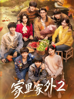 家里家外2(111集) 家里家外2(111集)免费看全集