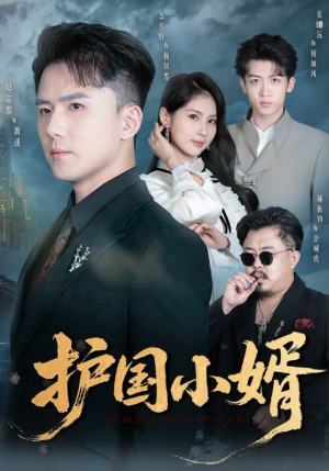 护国小婿（60集）甜宠短剧追到爽