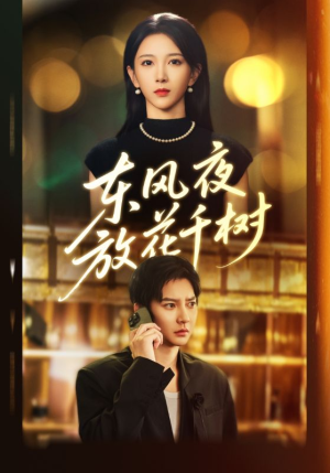 东风夜放花千树(91集) 东风夜放花千树(91集)在线播放