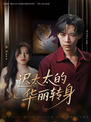 迟太太的华丽转身（80集）火热短剧抢先看