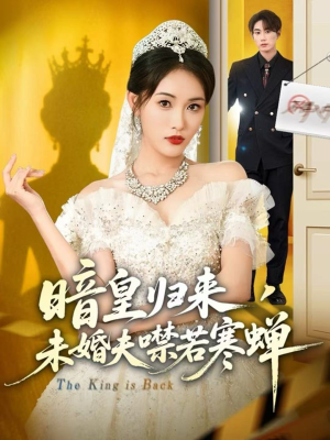 暗皇归来，未婚夫噤若寒蝉（65集）短剧精彩推荐