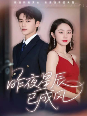 昨夜星辰已成风(75集) 昨夜星辰已成风(75集)真的好看吗