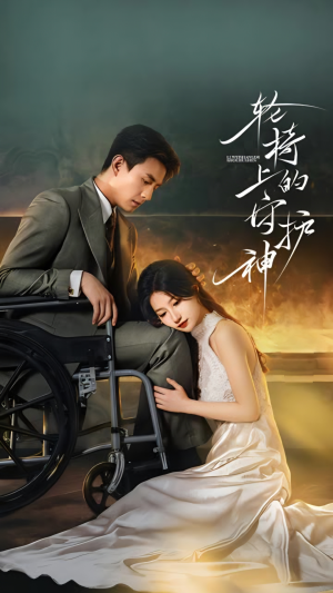 轮椅上的守护神（25集）大结局太过瘾了
