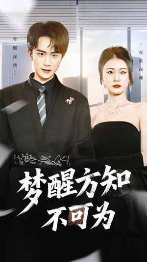 梦醒方知不可为(49集) 梦醒方知不可为(49集)第一季