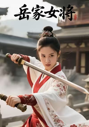 岳家女将(20集) 岳家女将(20集)演的怎么样