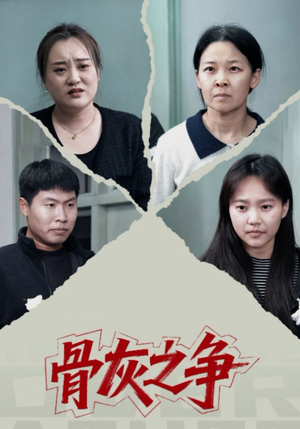 骨灰之争（30集）短剧解说热门