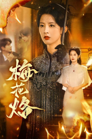 梅花烙(61集) 梅花烙(61集)免费在线看全集
