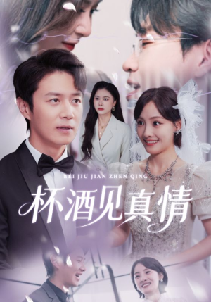 杯酒见真情(68集) 杯酒见真情(68集)免费短剧就是爽