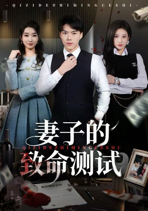 妻子的致命测试（60集）360网盘观看