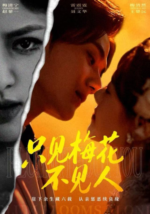 只见梅花不见人（63集）免费短剧完整版