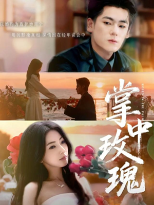 掌中玫瑰（60集）零花钱看整部剧