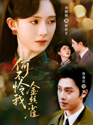 何不怜我金丝雀（60集）哪个短剧网能看