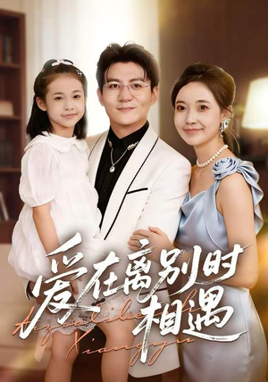 爱在离别时相遇（60集）短剧太好看