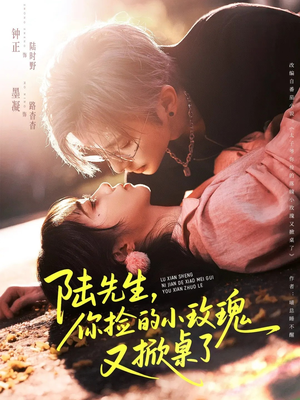 陆先生，你捡的小玫瑰又掀桌了（74集）免费短剧资源