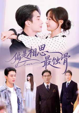 烬爱无归处（70集）火爆热门短剧