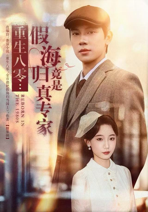 重生八零：假海归竟是真专家（65集）全剧免费观看