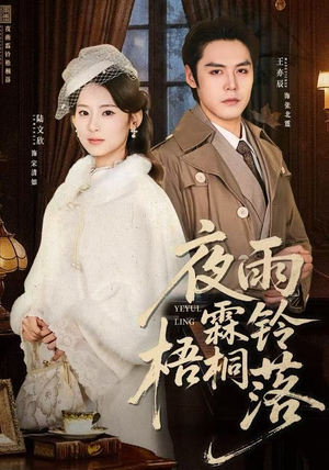 夜雨霖铃梧桐落（51集）精彩的网络短剧