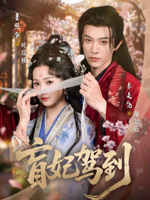 盲妃驾到（65集）全部免费看全集