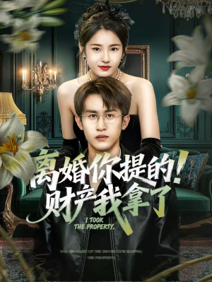离婚你提的！财产我拿了（63集）大结局一气呵成