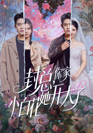 封总，你家小白花她开大了（60集）哪个网站可以看