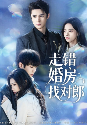走错婚房找对郎（50集）一起追短剧