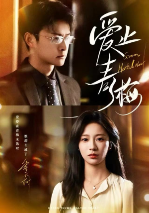 爱止青梅（60集）最新上映免费看