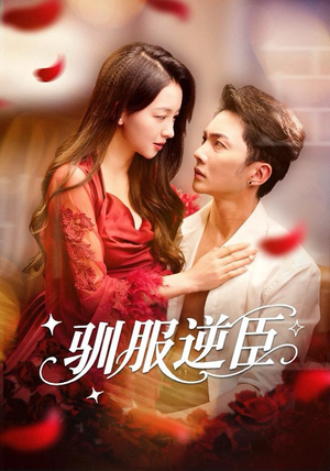 驯服逆臣（80集）1-102集