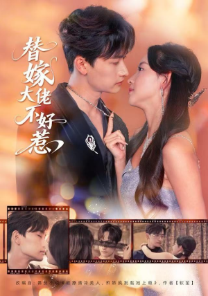 替嫁大佬不好惹（83集）短剧介绍