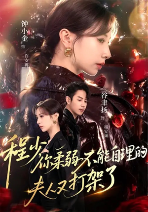 程少你柔弱不能自理的夫人又打架了（60集）口碑之选免费看