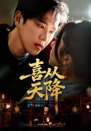 喜从天降(50集) 喜从天降(50集)在线播放