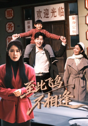 至此飞鸟不相逢（70集）全集免费看短剧