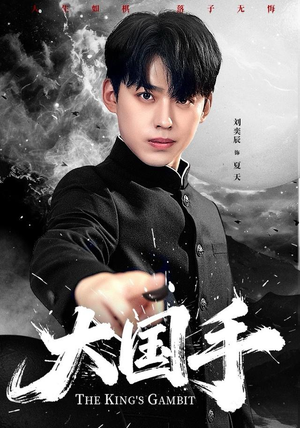 大国手(76集) 大国手(76集)大结局完美收官