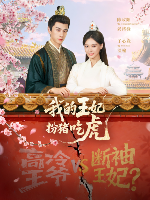 我的王妃扮猪吃虎（79集）高清无码免费看